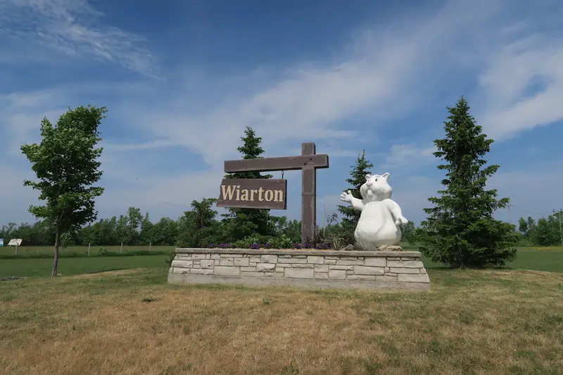 The Wiarton sign in Wiarton Ontario with the large groundhog Wiarton Willie