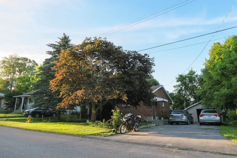 morning at the airbnb in peterborough