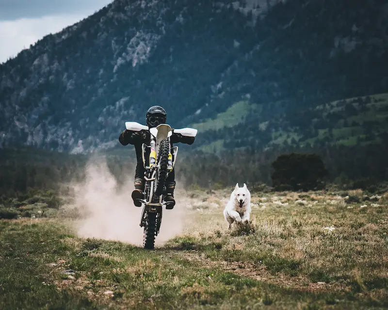 off road dirt bike wheelie